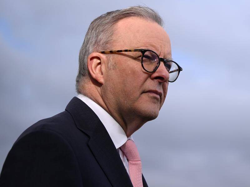 Anthony Albanese says he doesn't comment on court processes domestically or internationally. (Joel Carrett/AAP PHOTOS)