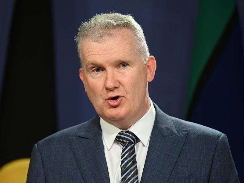 Tony Burke says the repatriation decision was informed by the best national security advice. (Dean Lewins/AAP PHOTOS)